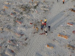 Ratusan Mayat Kembali Ditemukan di Sungai Gangga India, dari Mana?