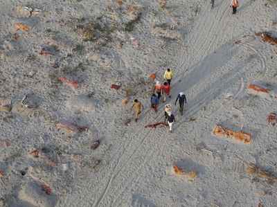 Potret Ratusan Mayat Terkubur di Tepi Sungai Gangga