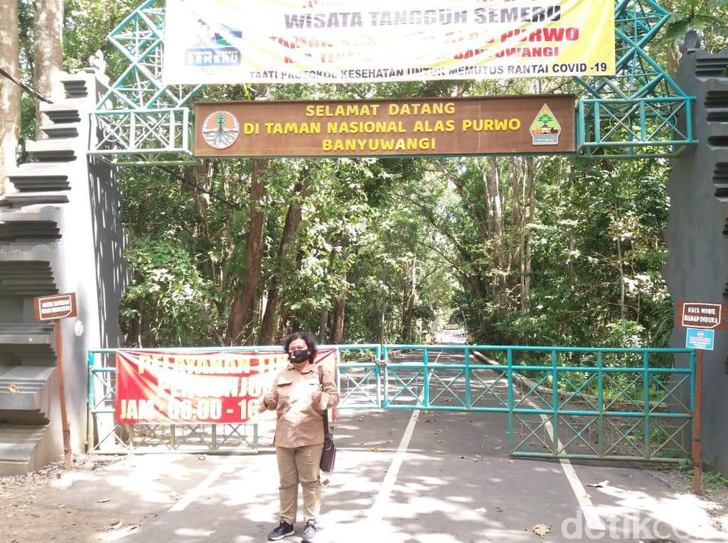 Alas Purwo Tutup Tiga Hari Demi Beri Kesempatan Alam Bernapas Alas Purwo Tutup Tiga Hari Demi Beri Kesempatan Alam Bernapas