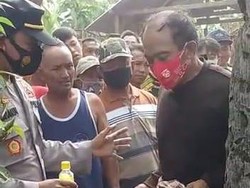 Pria Banyuwangi yang Tidur di Atas Pohon Kelapa Sempat Hilang Selama Sebulan