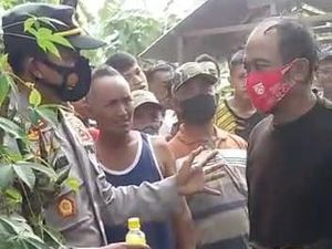 Soal Selingkuh di Balik Cerita Pria Banyuwangi Tidur di Atas Pohon Kelapa