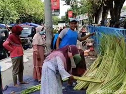 Lebaran Ketupat Makin Dekat, Kocek Pedagang Janur di Lamongan Makin Tebal