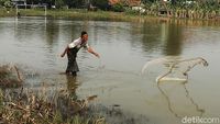 Potret Warga Bekasi Menjala Ikan di Lapangan yang Kebanjiran