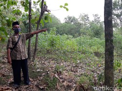 Warga Tolak Perluasan Sisi Barat TPST Piyungan Yogya, Ini Alasannya