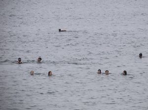 Maroko Tangkap 257 Migran di Laut Menuju Eropa