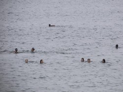 Maroko Tangkap 257 Migran di Laut Menuju Eropa