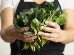 6 Sayuran yang Gampang Ditanam dalam Pot di Rumah