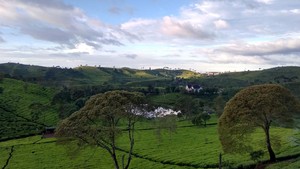 30 Hadits Tentang Kehidupan, Jadi Penyemangat untuk Jalani Hidup