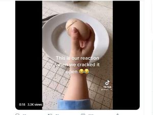 Viral Fenomena Telur dalam Telur di Tiktok, Ini Penjelasan Pakar IPB