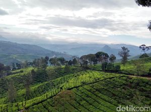 Sunrise Point Cukul Bandung: Daya Tarik, Fasilitas, Tiket, dan Rute Sunrise Point Cukul Bandung: Daya Tarik, Fasilitas, Tiket, dan Rute