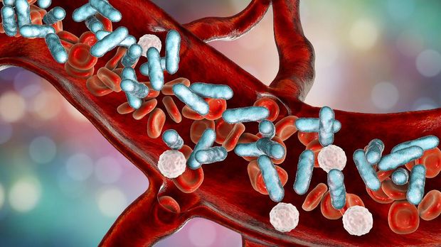 Sepsis, bacteria in blood. 3D illustration showing rod-shaped bacteria in blood with red blood cells and leukocytes