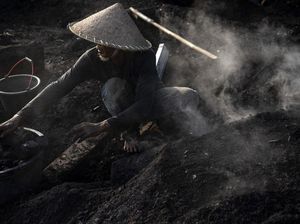 Dulang Cuan Dari Arang Dulang Cuan Dari Arang