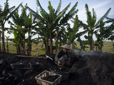 Intip Produksi Arang Kayu di Karawang