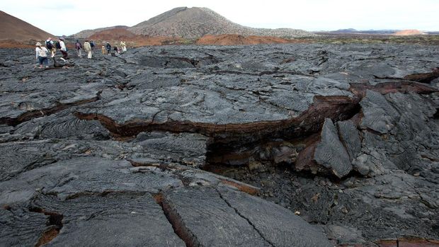 Santiago Island Tourist walking on black lava field at Sullivan Bay, Santiago Island in the wondrous Galapagos.