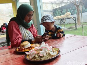 Sensasi Santap Makanan Ditemani Singa dan Harimau