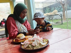 Sensasi Santap Makanan Ditemani Singa dan Harimau