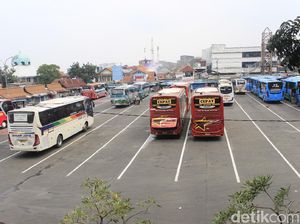 Curhat Sopir Bus Bertahan Hidup di Tengah Pandemi: Jual Motor-Burung