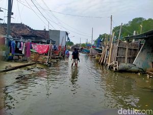 Melihat Kondisi Akses TPI di Demak yang Tergenang Rob Setiap Hari