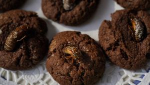 Hama Jangkrik yang Kini Jadi Kue Coklat