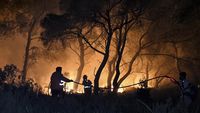 Kebakaran Hutan Yunani Merambat ke Rumah Warga