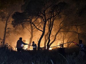 Kebakaran Hutan di Siprus Terburuk dalam Sejarah