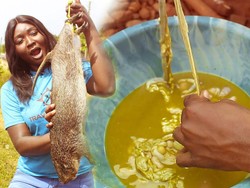 Kotoran Tikus dan Daging Anjing Jadi Makanan Favorit di Nigeria