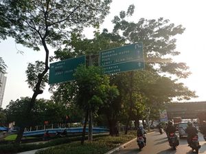Pengendara Keluhkan Penunjuk Arah di Daan Mogot Tertutup Pohon