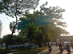 Pengendara Keluhkan Penunjuk Arah di Daan Mogot Tertutup Pohon