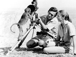 7 Ilmuwan Perempuan Ini Menguak Rahasia Kehidupan di Bumi