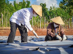 Menkop UKM Dorong Koperasi Simpan Pinjam Spin-off ke Sektor Produksi