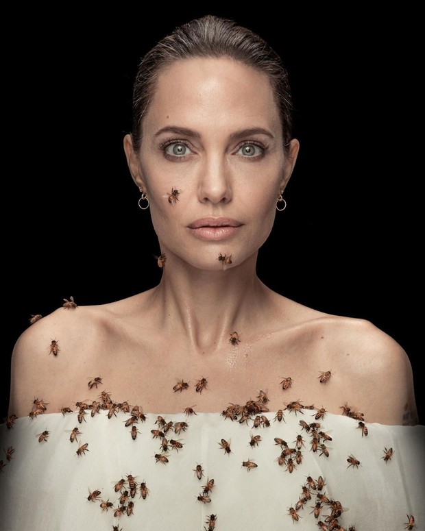 Angelina Jolie yang Dikerumuni Lebah/instagram.com/natgeo