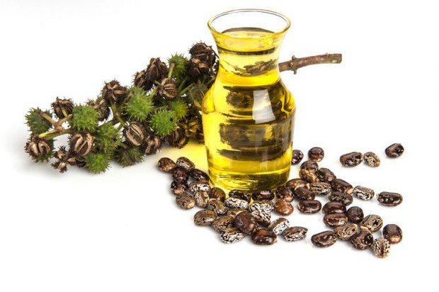 foto: Castor oil/shayandcompany.com