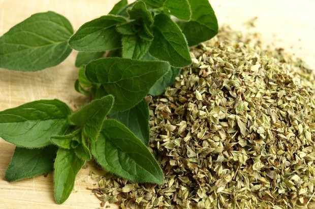 foto: Melindungi dari radikal bebas/pixabay.com