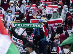 Waket MPR Sebut Langkah RI Dukung Palestina Sesuai Amanat Konstitusi