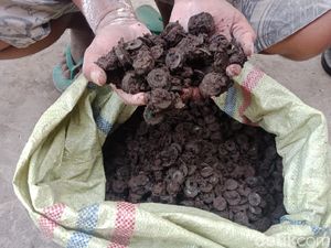 Warga Jombang Temukan Sekarung Koin Kuno dan Keris Saat Gali Fondasi Rumah