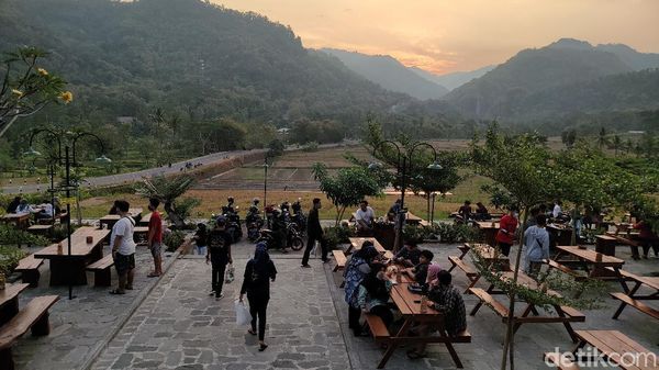 Foto: Kopi Ingkar Janji yang Lagi Ngehits di Kulon Progo