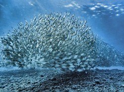 Keunikan dan Keistimewaan 5 Destinasi Super Prioritas yang Perlu Kamu Tahu