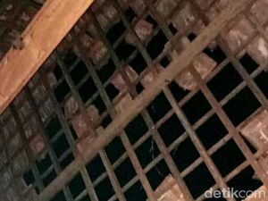 7 Rumah dan 1 Masjid di Pasuruan Rusak Dampak Gempa Blitar