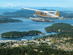 Cara Maskapai Mikro Sampai di Ultah ke-75