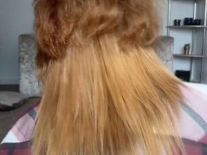 Viral Wanita yang Rambutnya Mirip Singa, Kocak Tapi Prihatin