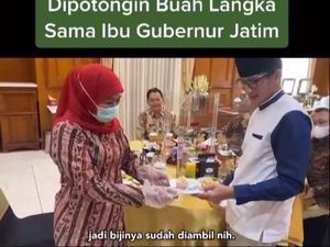 Khofifah Parawansa Beri Hadiah Buah Mentega pada Sandiaga Uno, Ini Fakta Menarik Buah Mentega