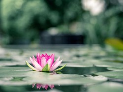 Sederet Keistimewaan Posisi Lotus dalam Bercinta