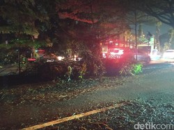 Jl Juanda Belum Bersih dari Sisa Pohon Tumbang, Arah Margonda Masih Macet