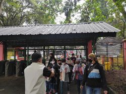 Ragunan Mulai Ramai Didatangi Pengunjung Pagi Ini