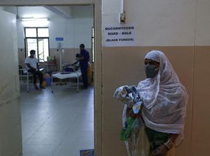 Kemenkes Wanti-wanti Dexamethasone Bisa Picu Jamur Hitam pada COVID-19 Kemenkes Wanti-wanti Dexamethasone Bisa Picu Jamur Hitam pada COVID-19