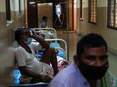 Belum Usai Corona-Jamur Hitam, India Hadapi Ancaman Jamur Putih