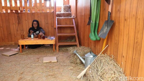 Foto: Coba Tebak, Ini Kafe atau Peternakan?