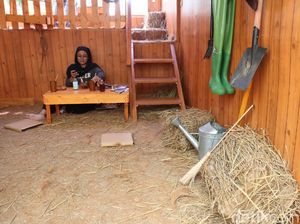 Foto: Coba Tebak, Ini Kafe atau Peternakan? Foto: Coba Tebak, Ini Kafe atau Peternakan?