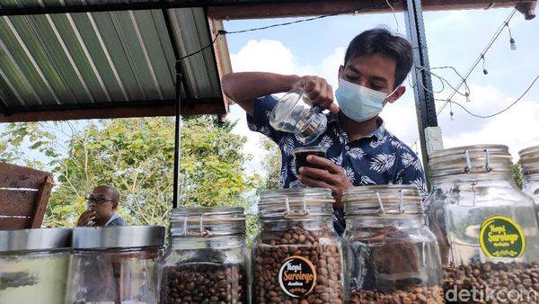 Foto Nikmatnya Seruput Kopi di Titik Tertinggi Kulonprogo