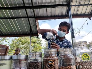 Foto Nikmatnya Seruput Kopi di Titik Tertinggi Kulonprogo